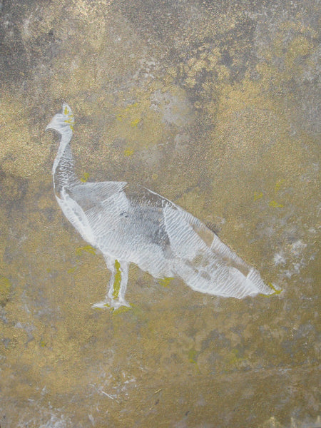 Peacock's Journey